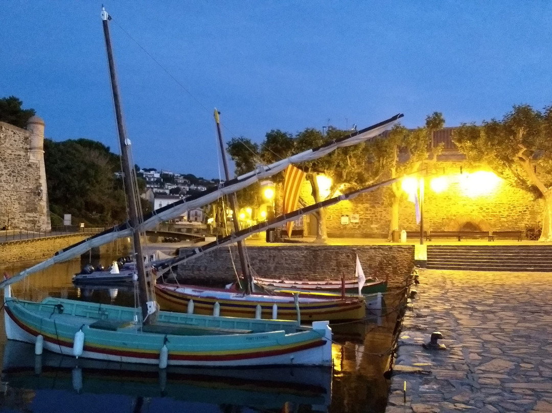 Plage de Collioure景点图片