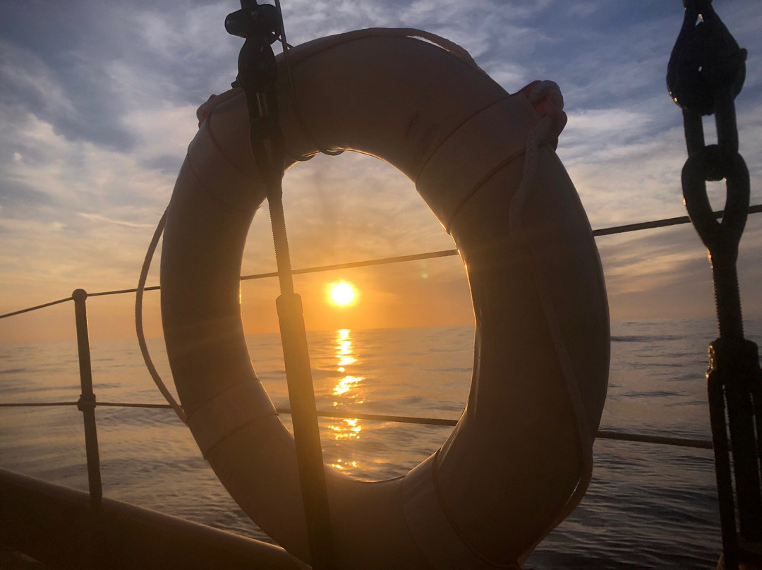 Owl 1909-Port d'Andratx必去景点