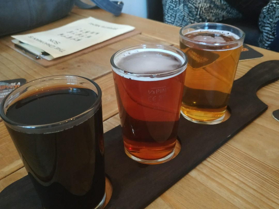 Drayman's Son Micropub景点图片