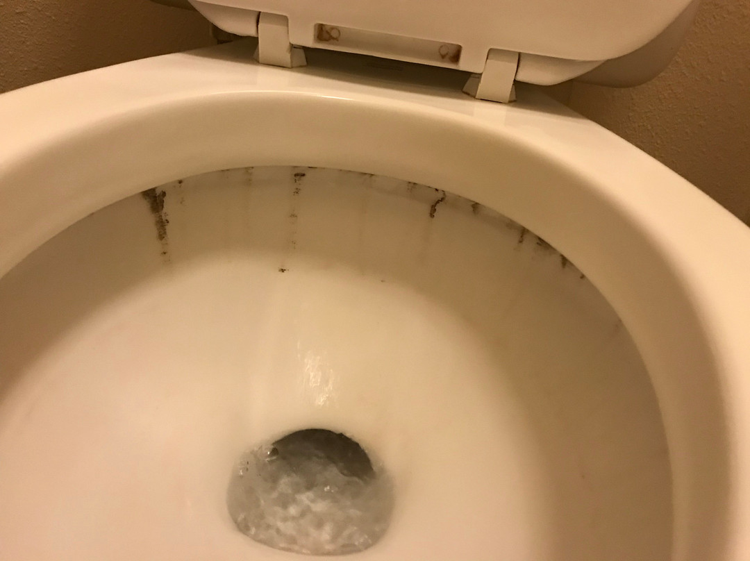 托莱多酒店住宿-托莱多大学红屋顶酒店