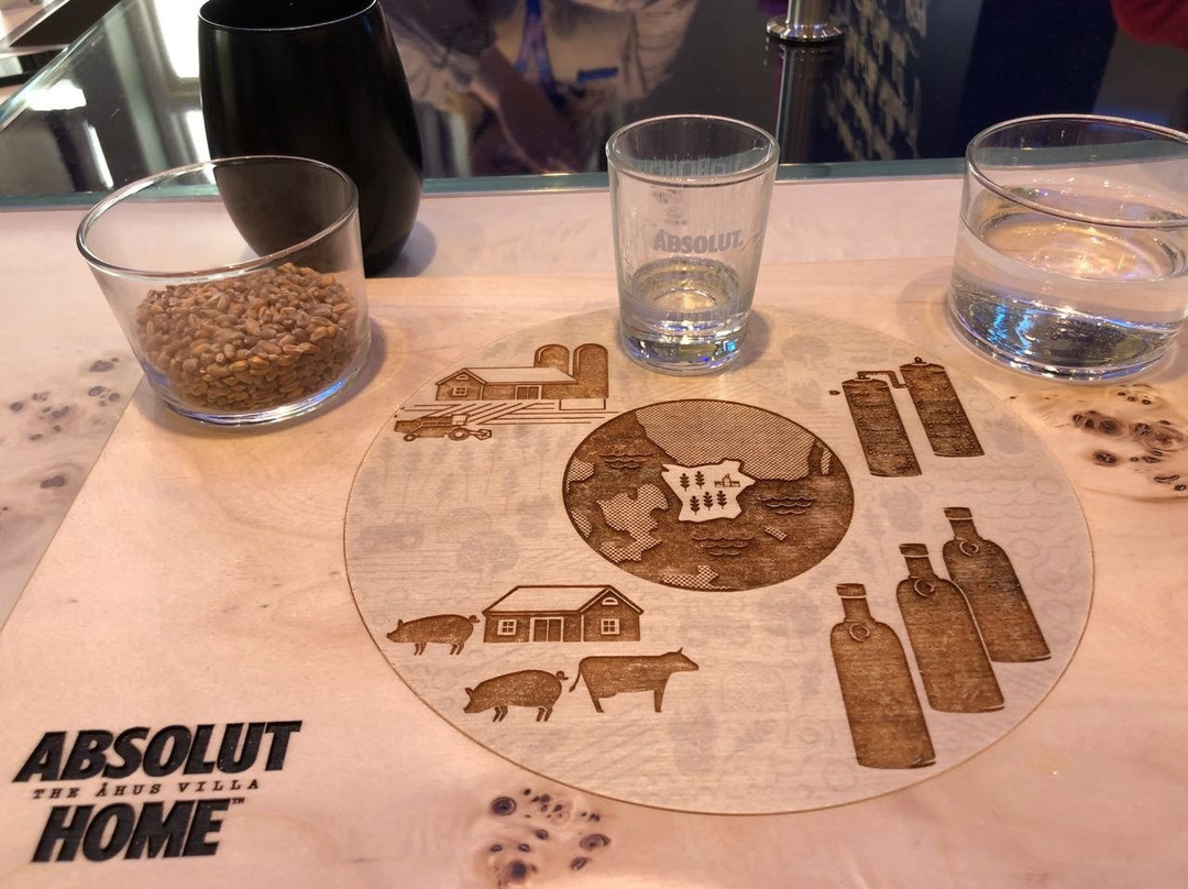 Absolut Home景点图片