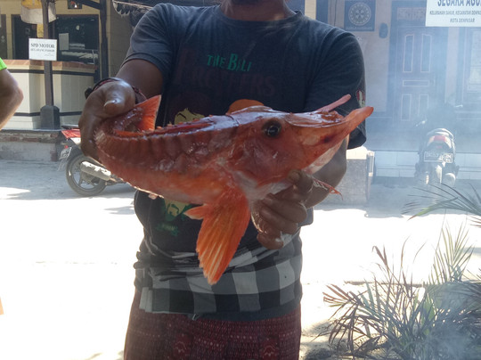 Segara Ayu Beach-沙努尔必去景点