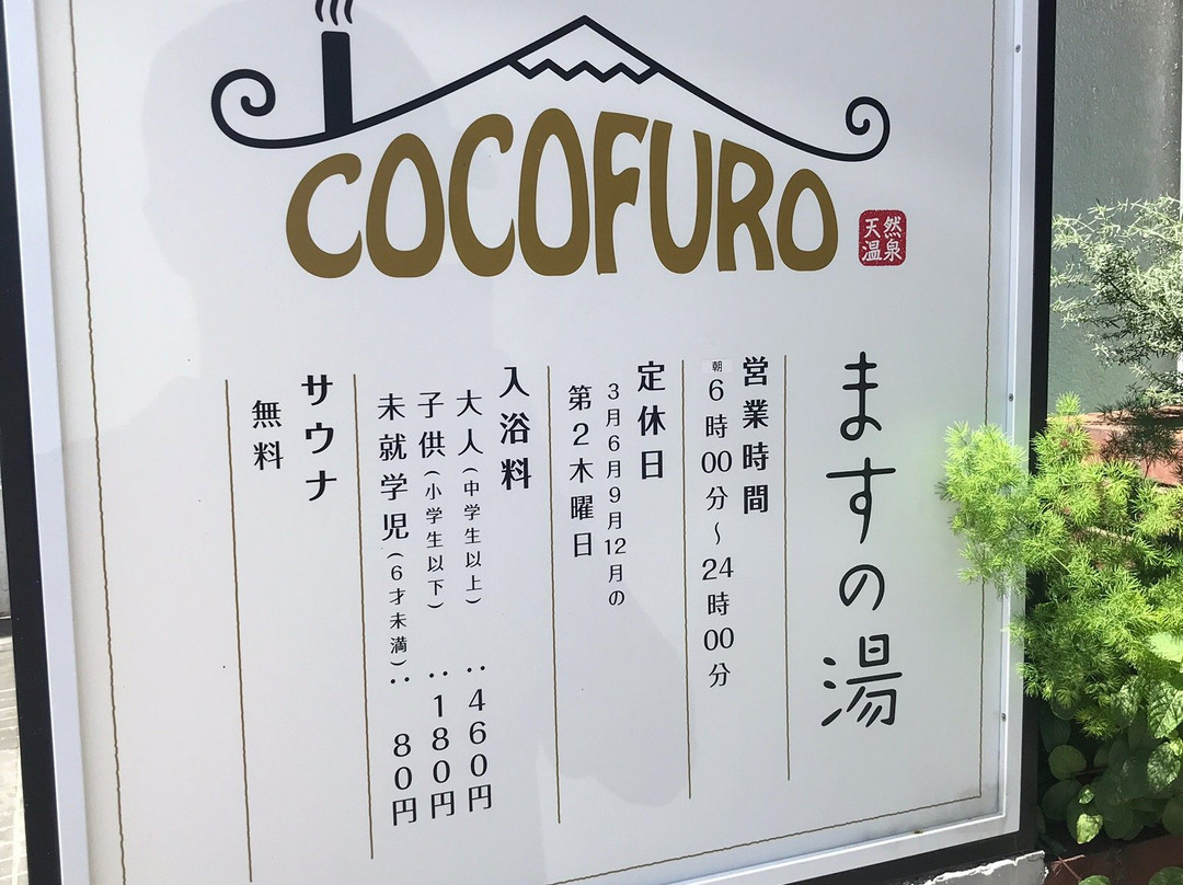 Cocofuro Masu no yu-大田区必去景点