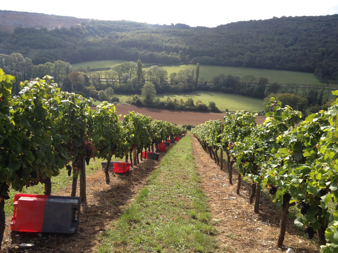 Domaine de Montmain景点图片