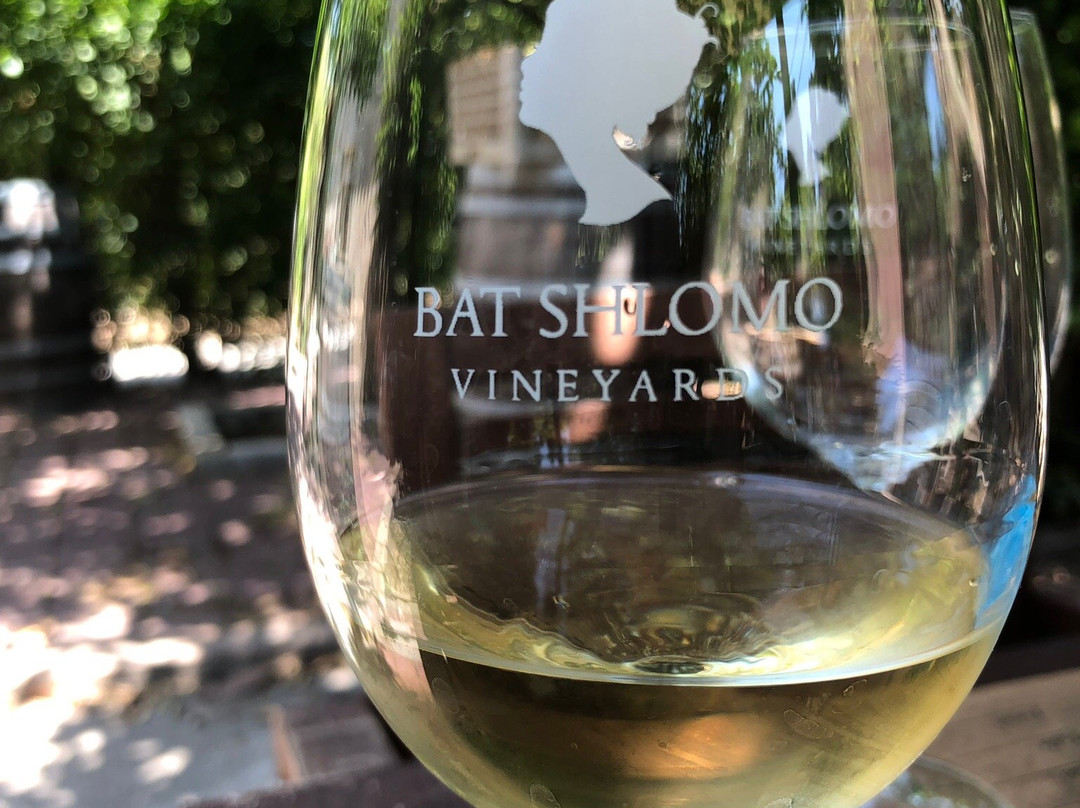 Bat Shlomo Vineyards景点图片