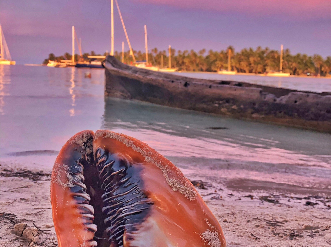San Blas Beach Trip景点图片