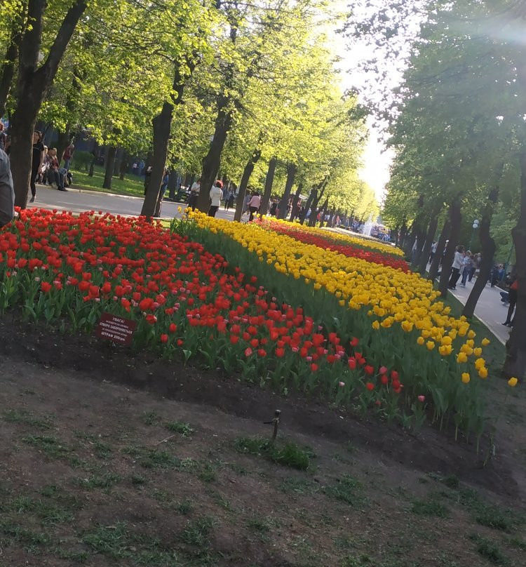 Kirovohrad Arboretum景点图片