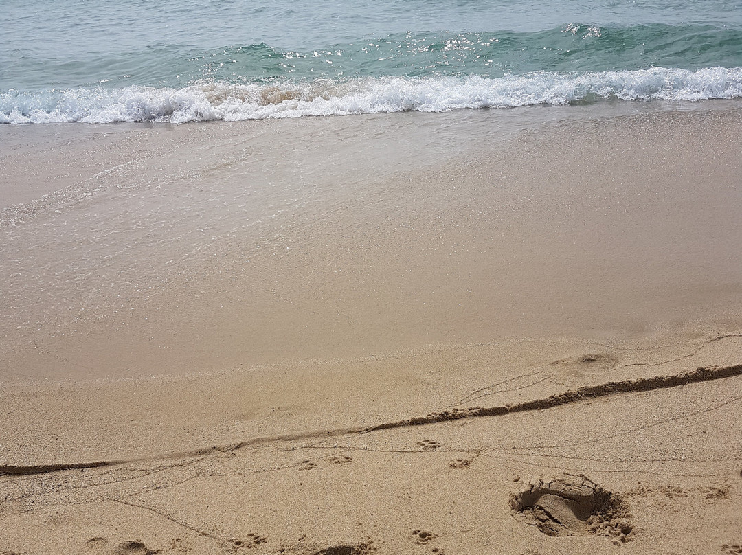 Spiaggia di Cala Monte Turno-Castiadas必去景点