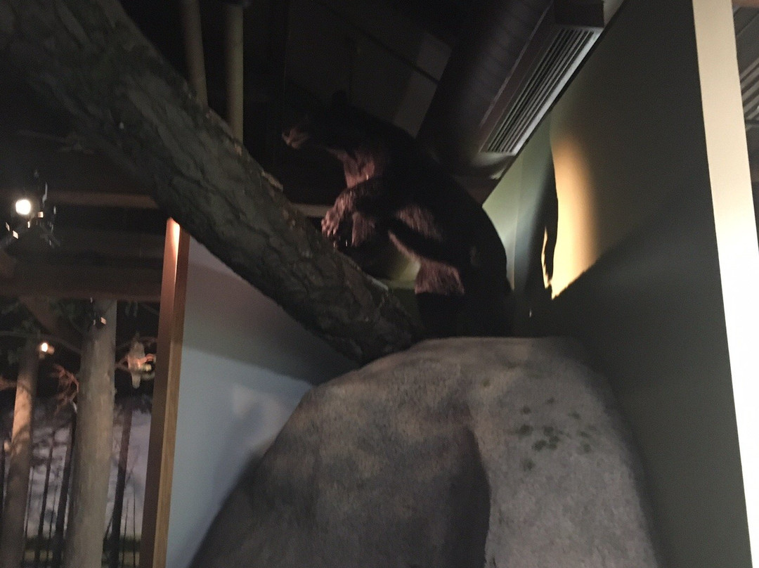 Turner Falls-Turners Falls必去景点