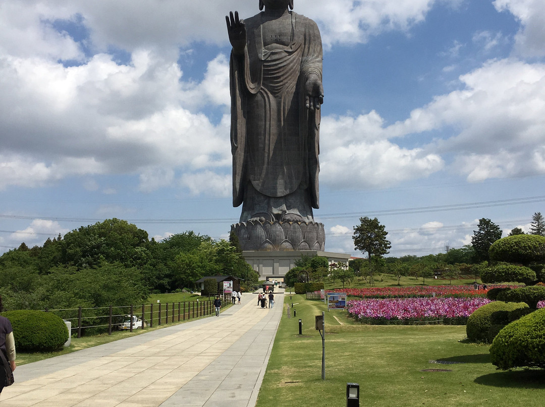 Ushiku Daibutsu-牛久市必去景点