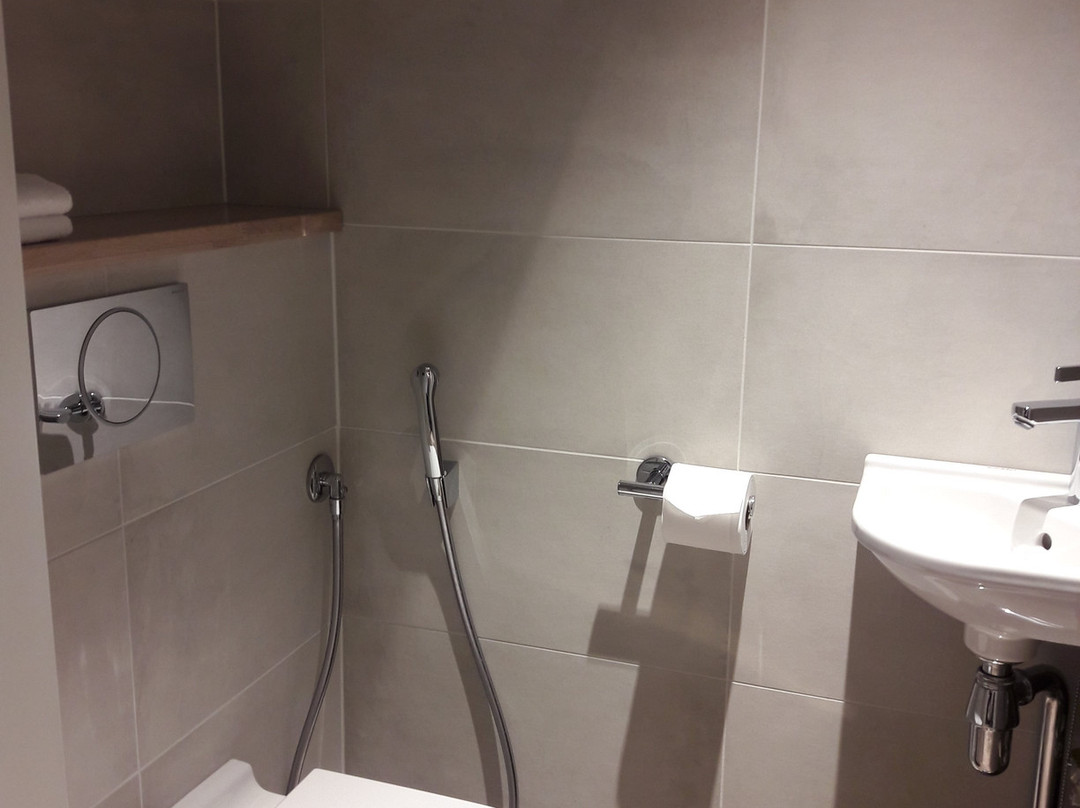 所库斯亚历山大酒店主图