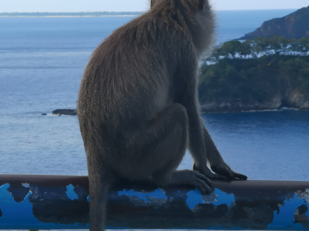 Makarma Resort Lombok主图