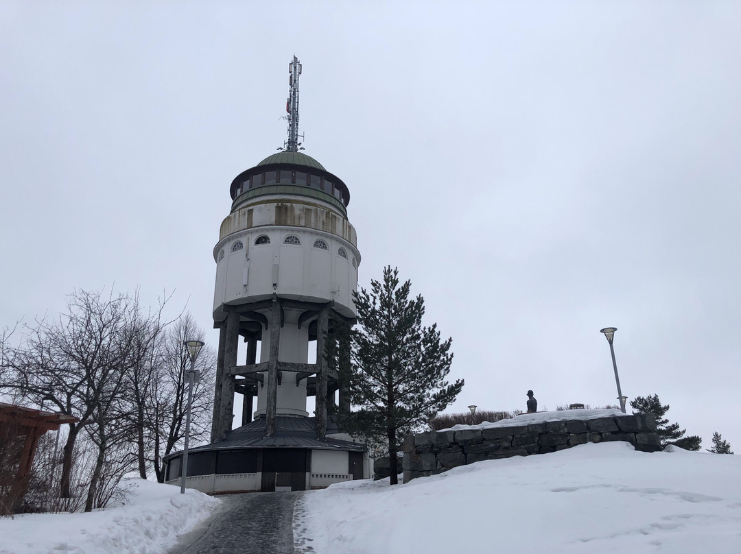 Naisvuori Observation Tower景点图片