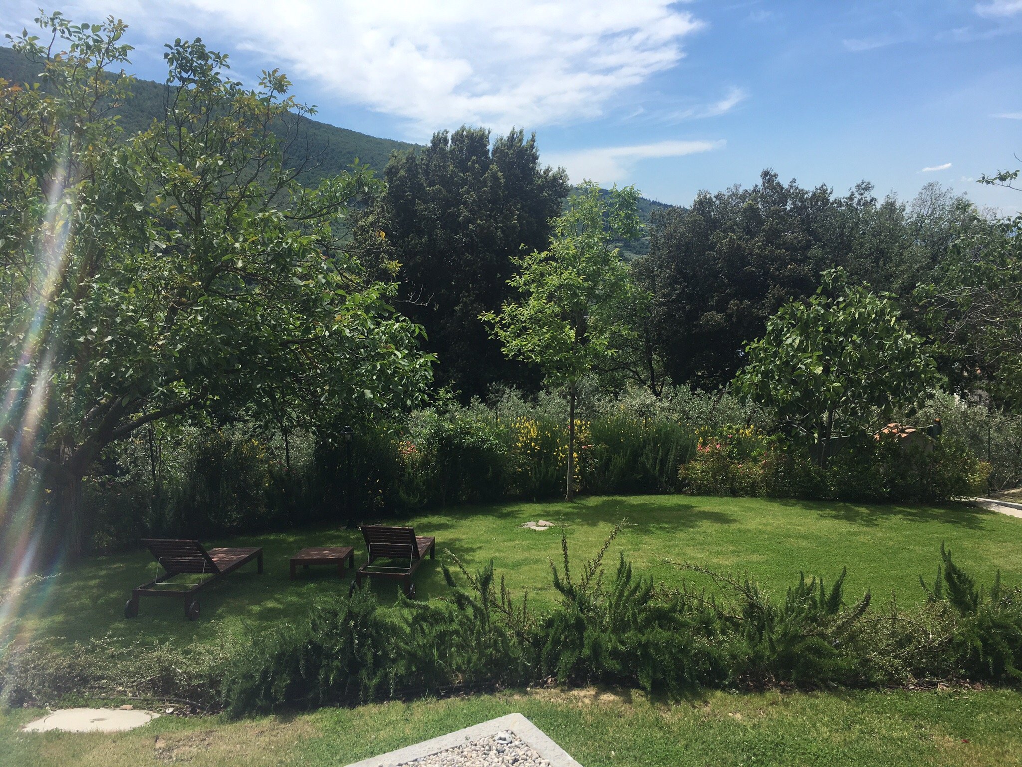 Podere La Contessa B&B-官方