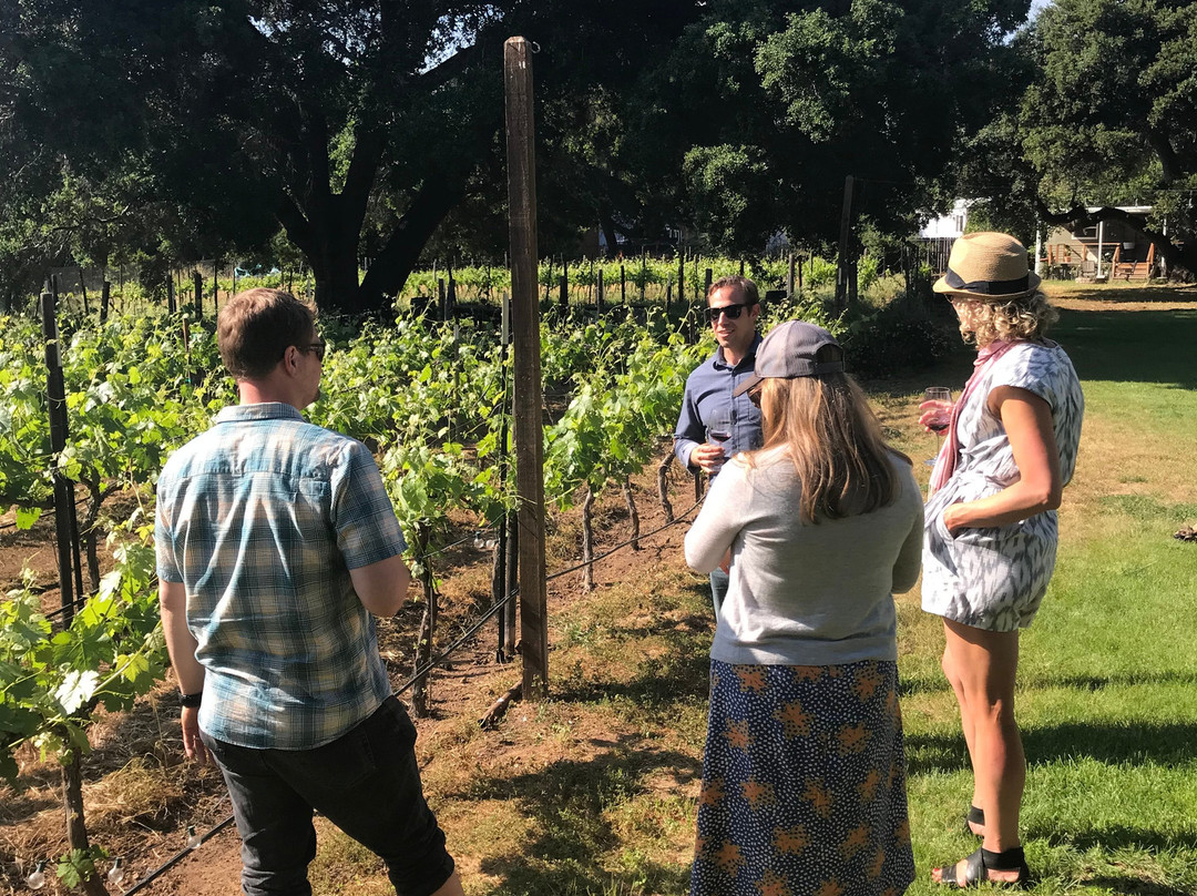 Appellation Wine Tours-奥海必去景点