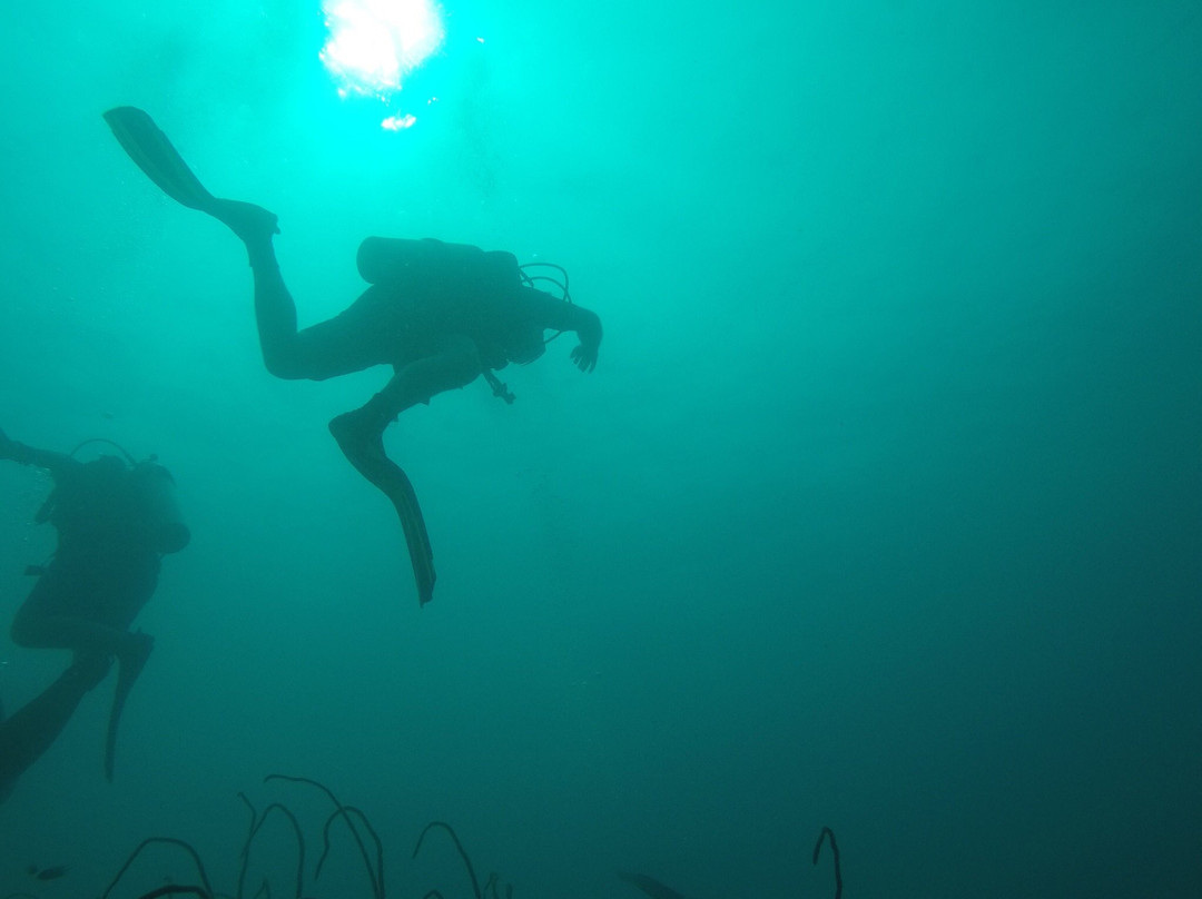 Scubafish潜水中心景点图片
