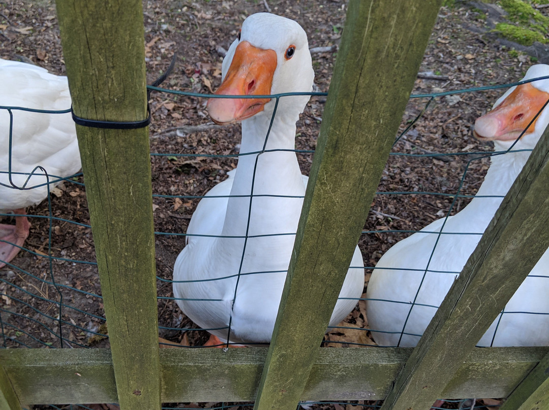 Earl of Sandwich Motel主图