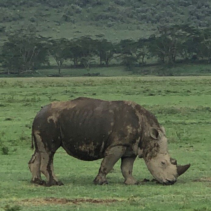 兰纳特马特法姆度假酒店主图