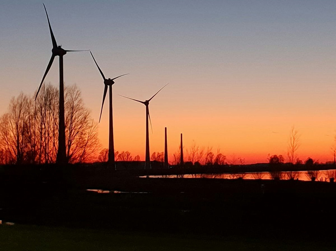 Nieuw-Beijerland旅游攻略图片