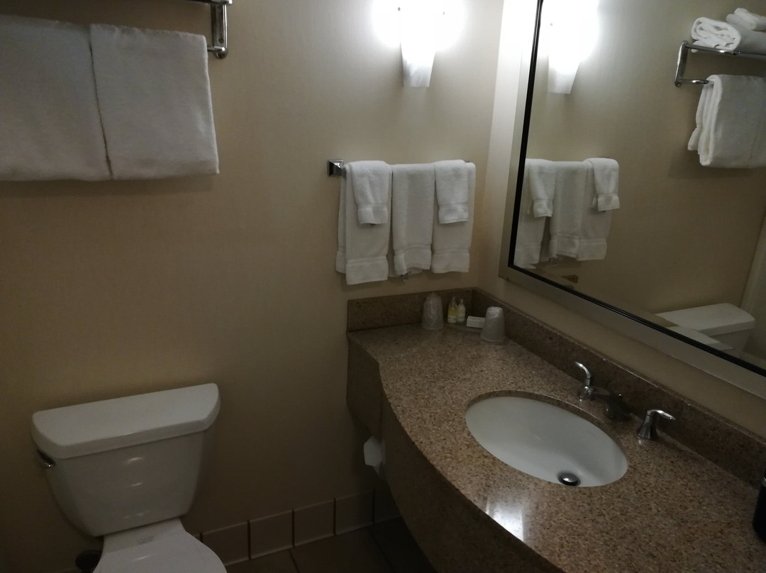 乌厄大酒店主图