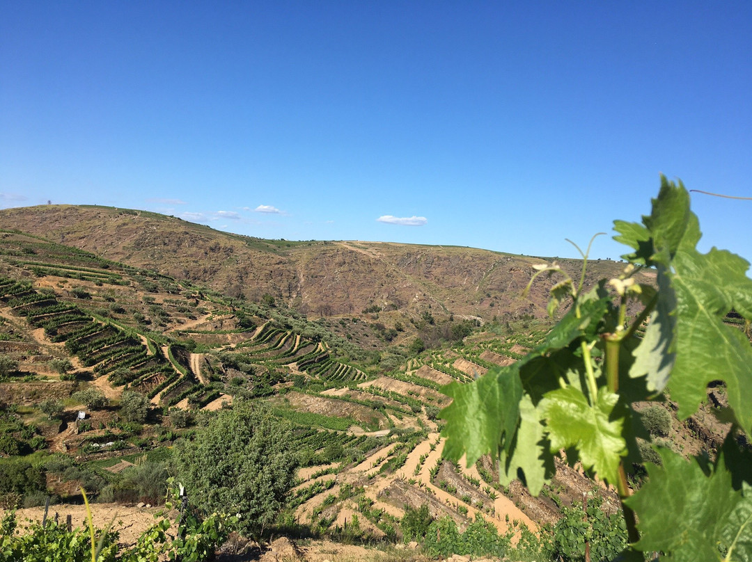 Quinta do Reconco主图