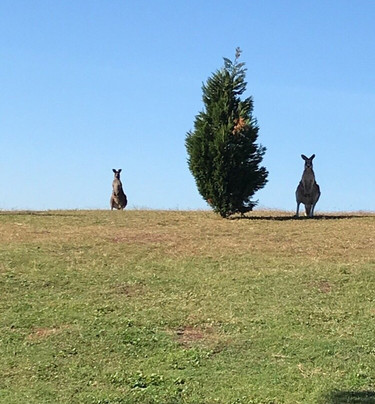 The Vintage Golf Club-Rothbury必去景点
