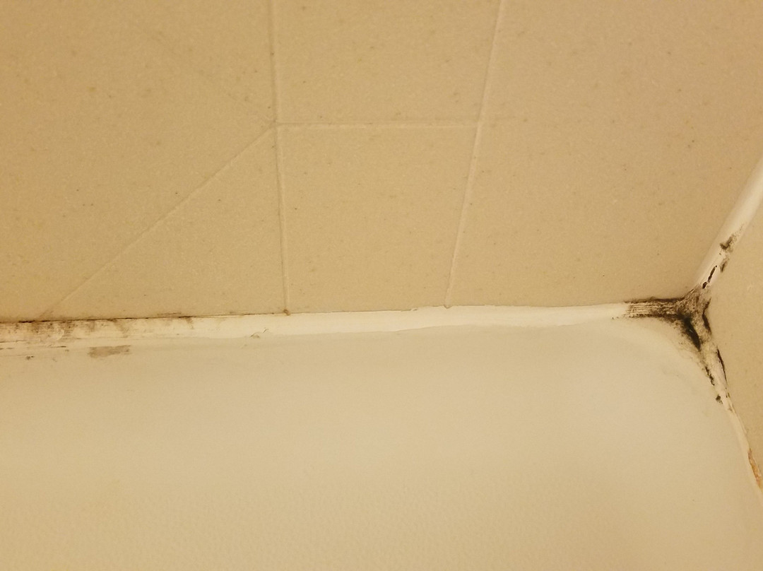 Hampton Inn & Suites Greensburg主图