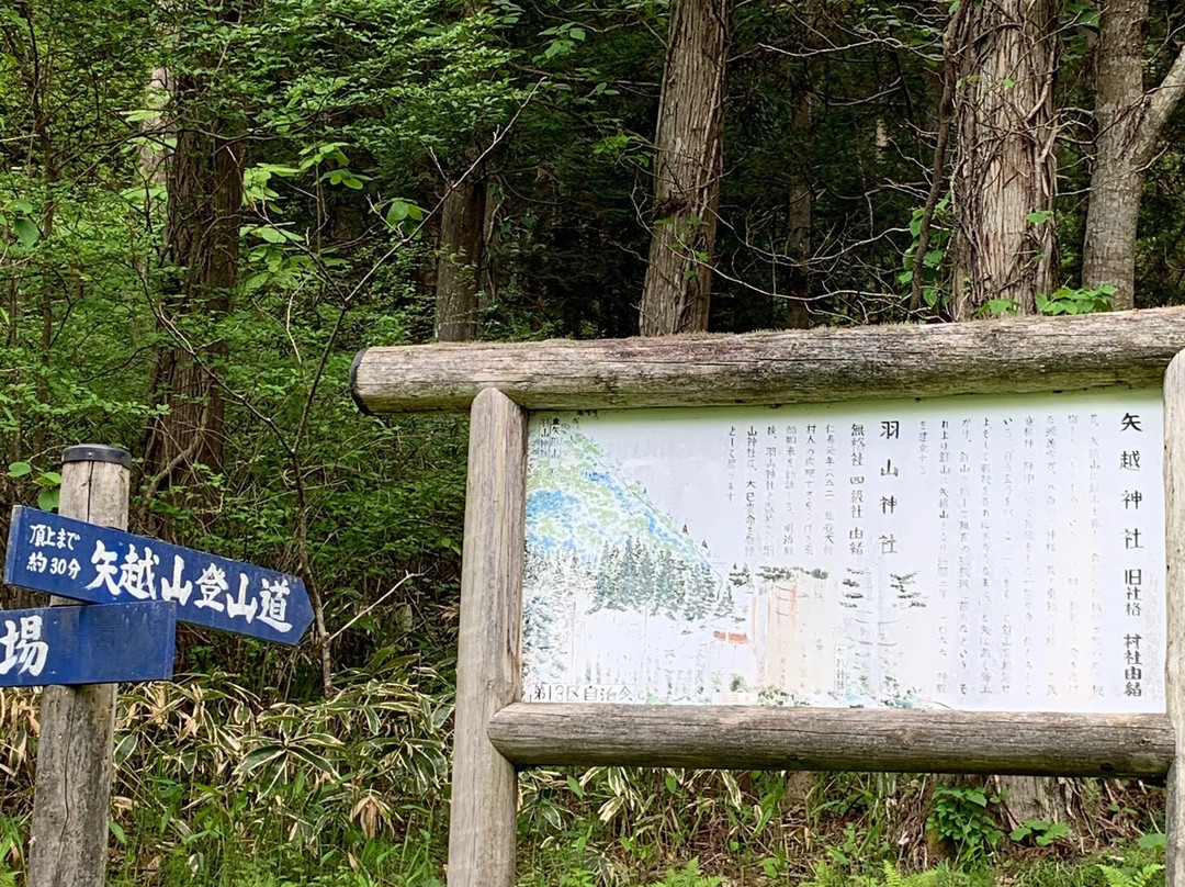 Mt. Yagoshiyama景点图片
