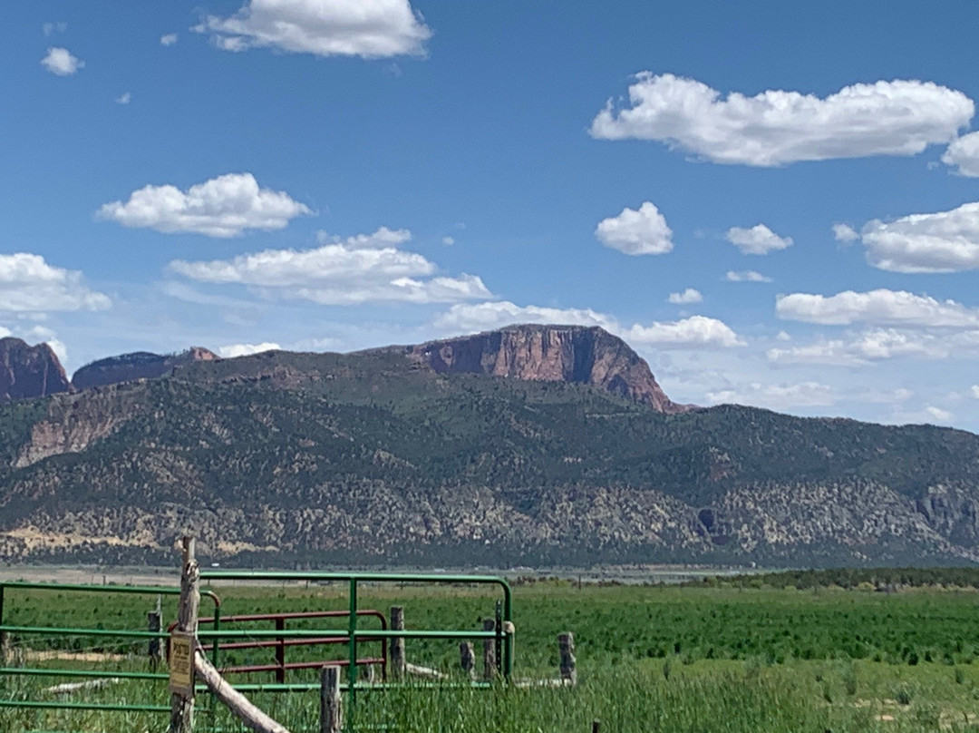 New Harmony旅游攻略图片