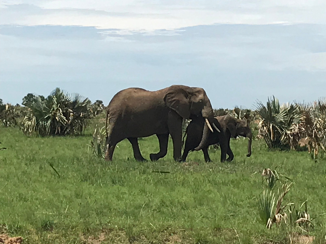 Engagi Safaris-恩德培必去景点