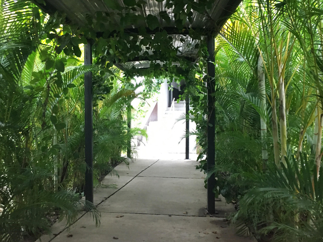 Hotel Campo Verde Doradal主图