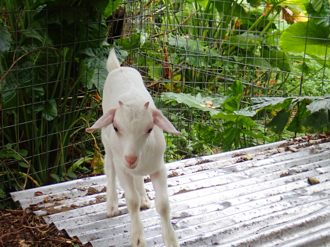 Minshuku Nodoka主图