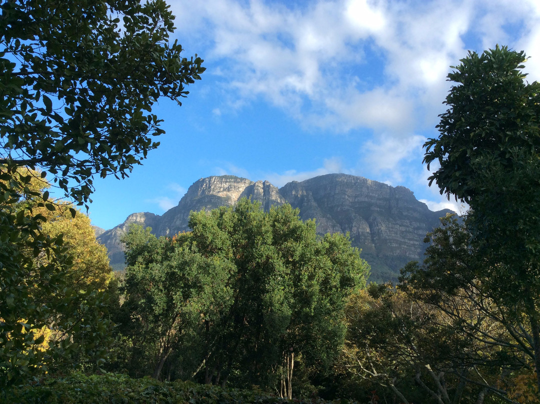 葡萄园温泉酒店主图