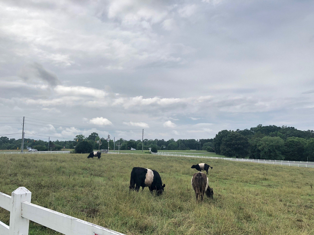 Fearrington Village-Pittsboro必去景点