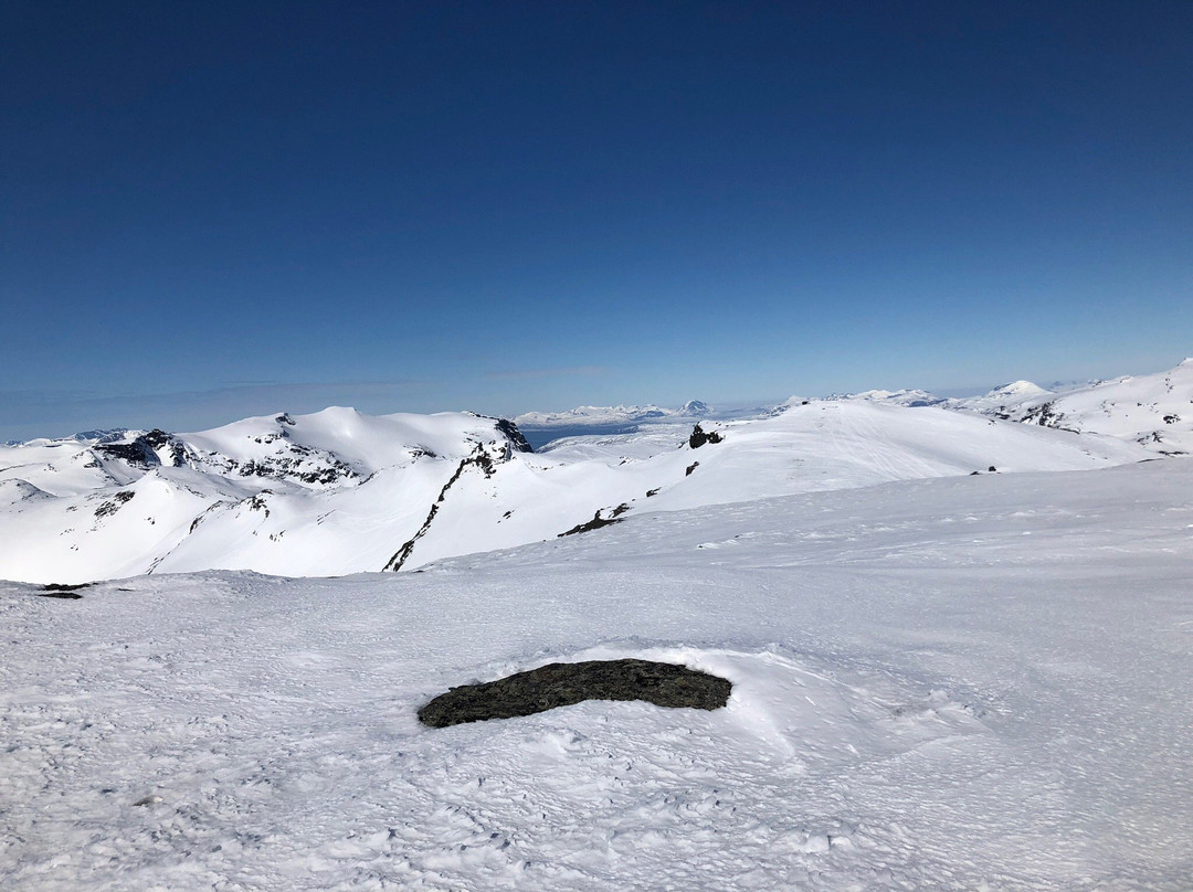 Heliski Riksgränsen - Mountain Guide Travel景点图片