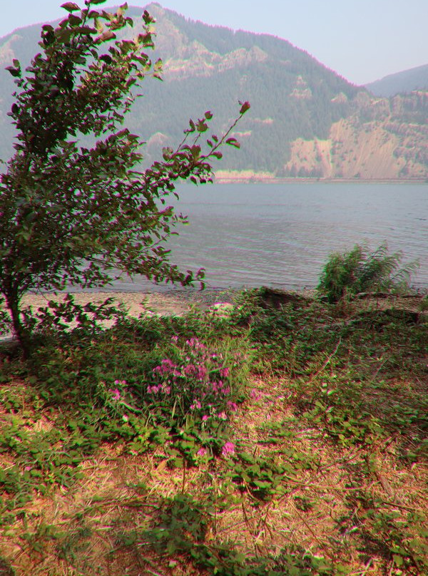 Viento State Park-Cascade Locks必去景点