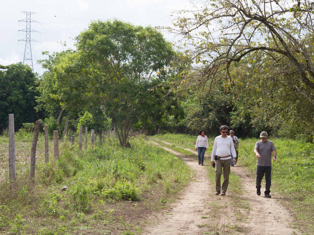 Biking Trips-内瓦必去景点