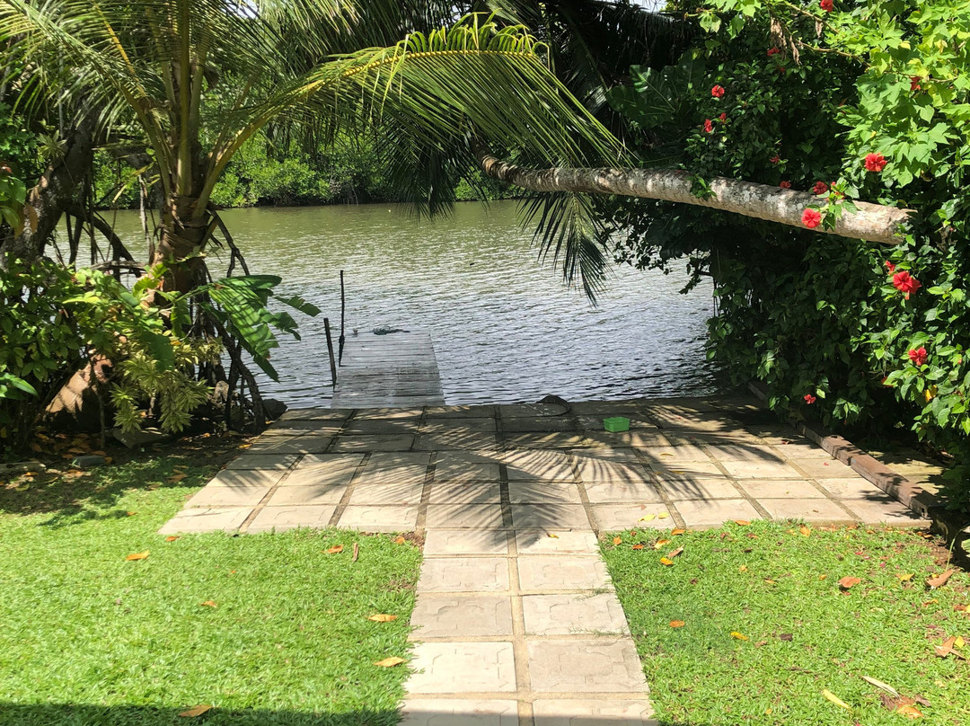 Lagoon Bentota主图