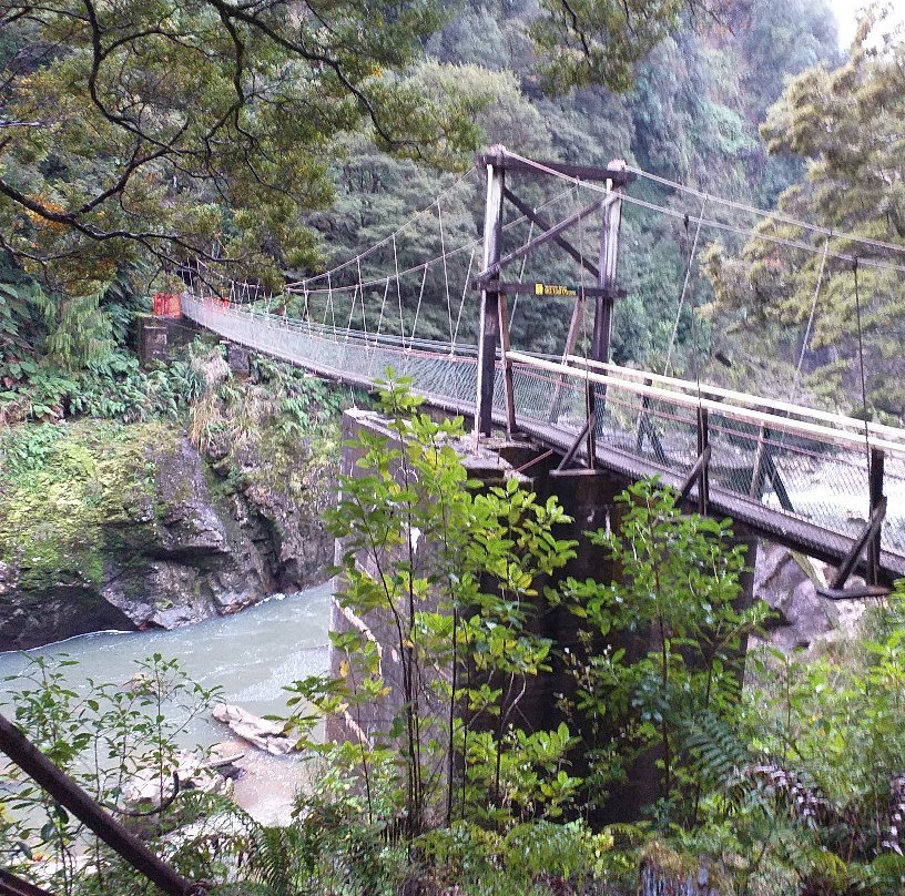 Charming Creek Walkway景点图片