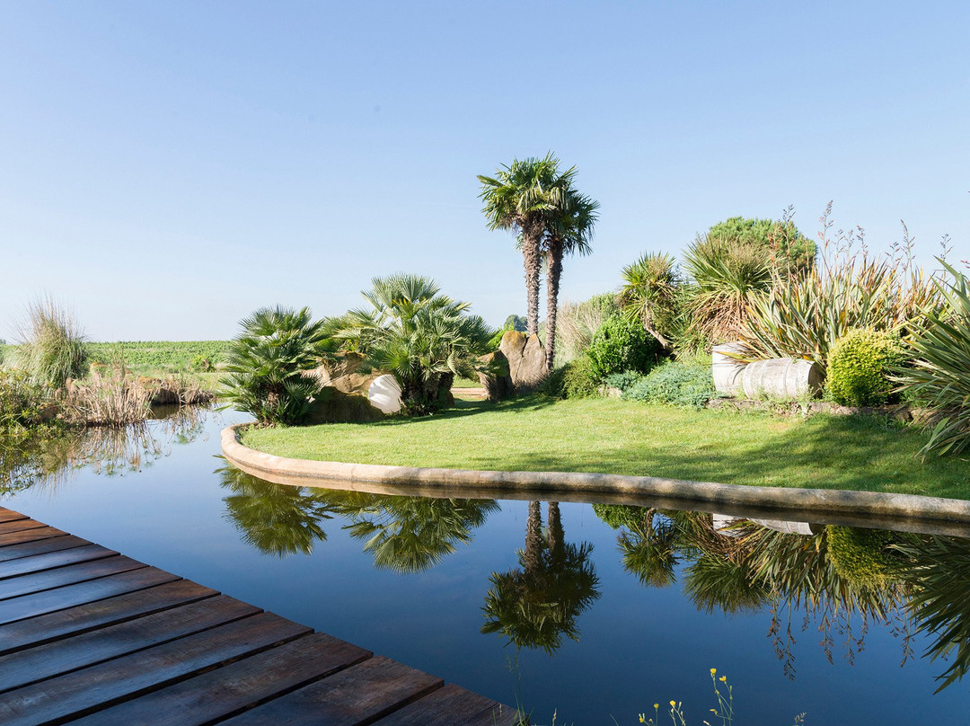 Can Bonastre Wine Resort主图