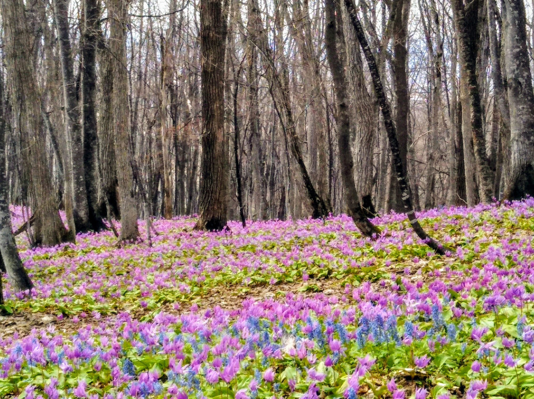 Otokoyama Nature Park-旭川市必去景点