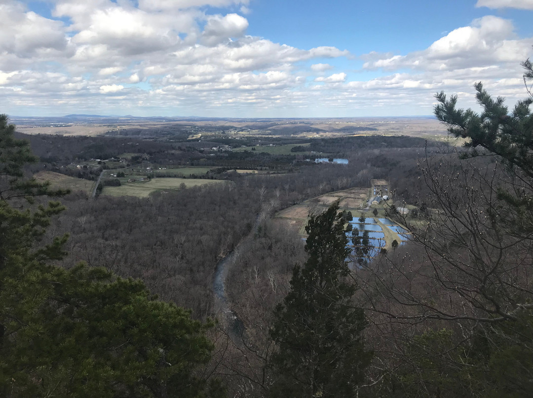Buzzard Rock North景点图片