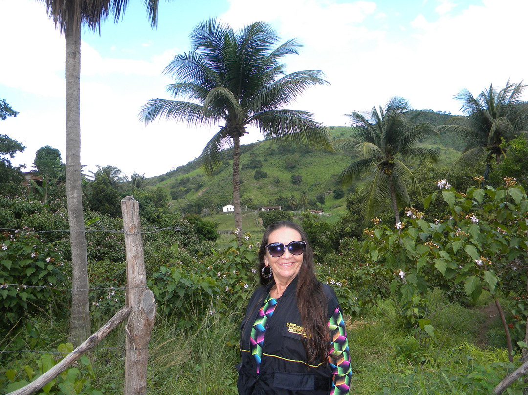 Cachoeira Ouricuri-Piloes必去景点