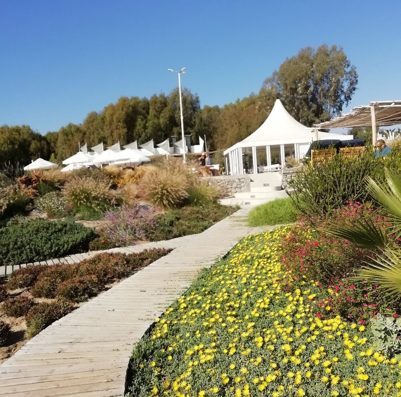 Las Velas Beach Place主图