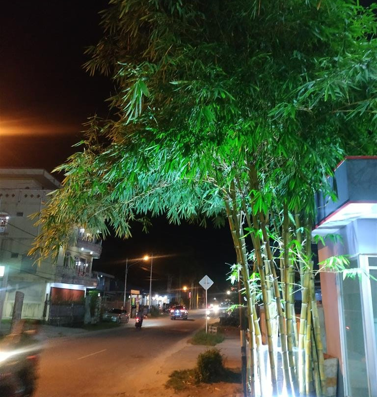 Hotel Grand Mandarin主图