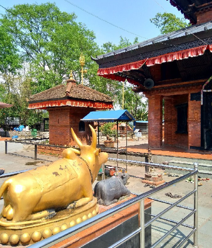 Kedareshwar Mahadev Mani Temple-博卡拉必去景点