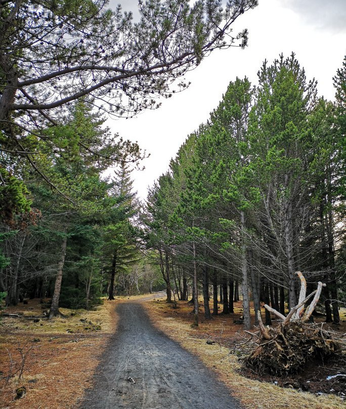Ellioaardalur Valley-雷克雅未克必去景点
