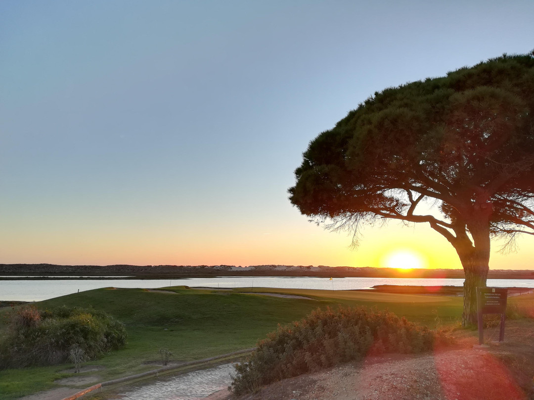 VTours Algarve-法罗必去景点