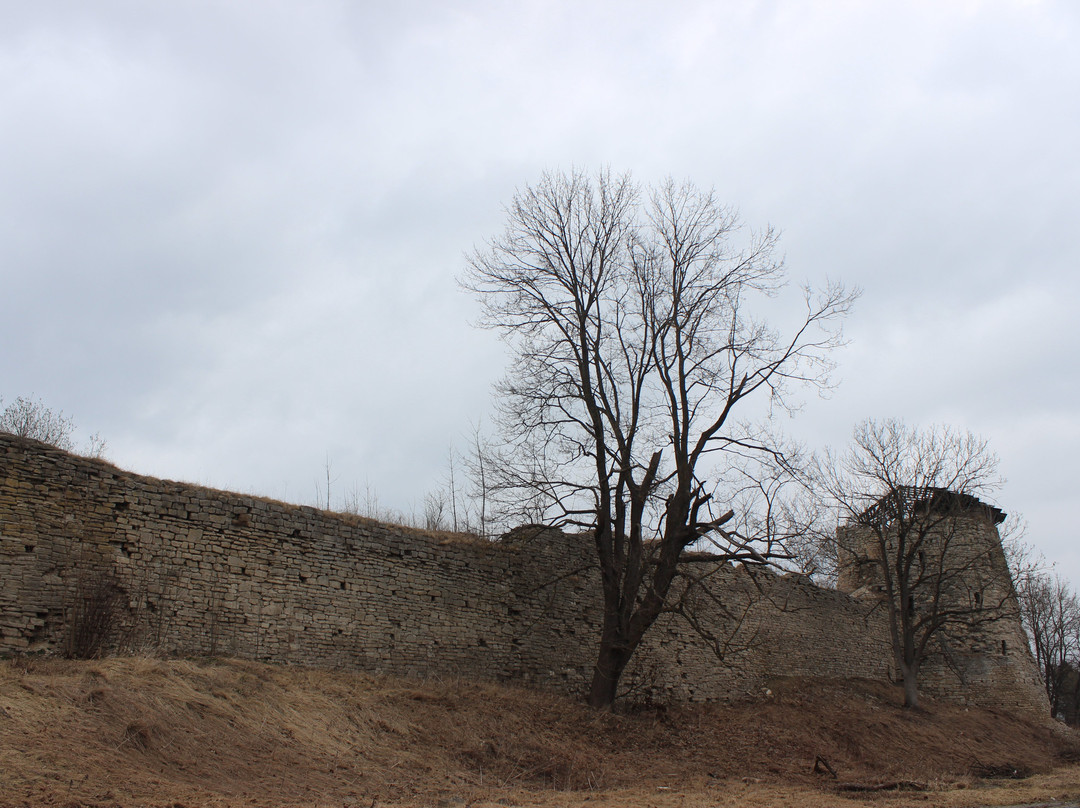 Porkhov Local History Museum景点图片