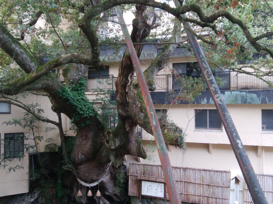 南苏卡库酒店主图